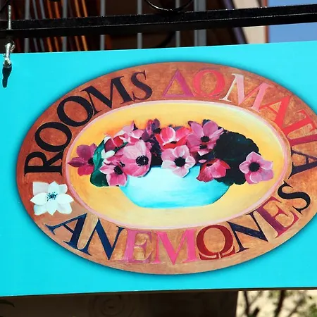 Anemones La Canea