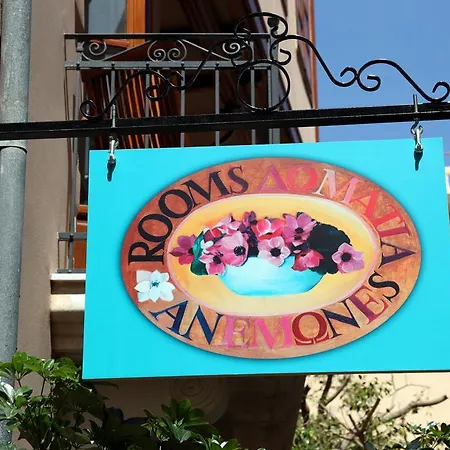 Pensión Anemones *