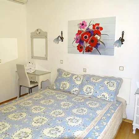 Anemones La Canea